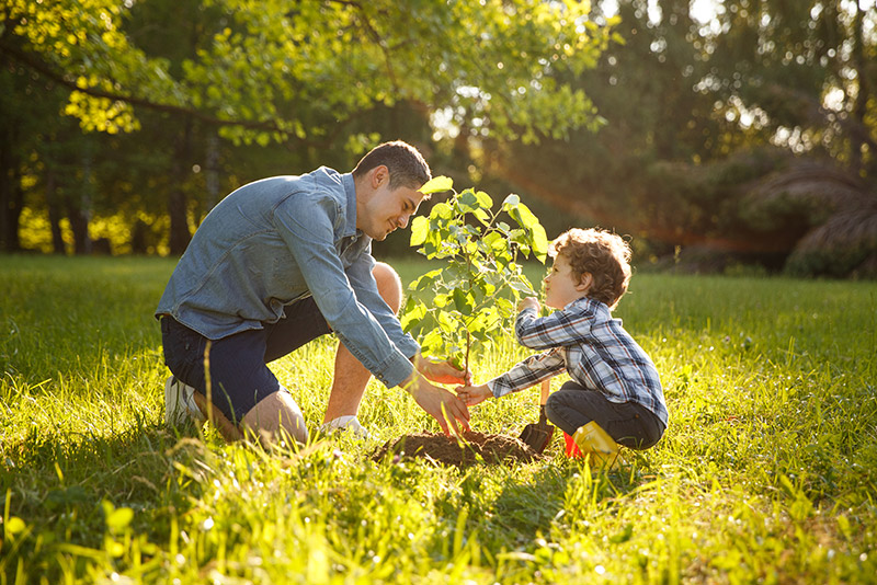 Father & son planting a tree